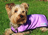 Prestige Pets - Cool Coats