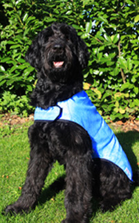 Prestige Pets - Cool Coats